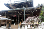 Imakumano Kannon-ji Temple