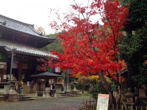 今熊野観音寺－紅葉